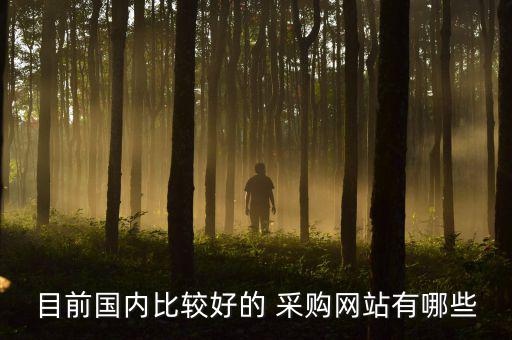 中國最大的采購平臺,采購平臺推薦政府機(jī)構(gòu)或官方性質(zhì)網(wǎng)站