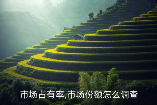  市場占有率,市場份額怎么調(diào)查