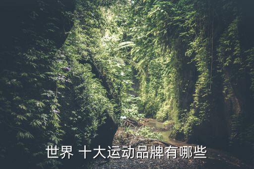 世界 十大運(yùn)動(dòng)品牌有哪些