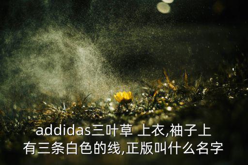 體育用品上衣有哪些東西,阿迪達(dá)斯是世界知名品牌之一體育用品