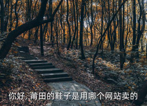 你好, 莆田的鞋子是用哪個網(wǎng)站賣的