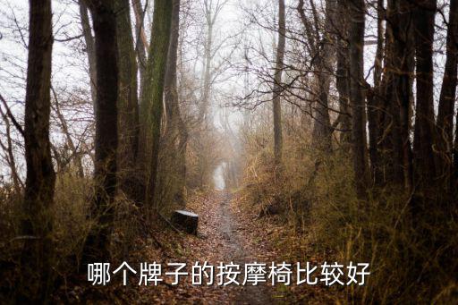 哪個牌子的按摩椅比較好