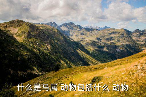 體育用品帶馬的有什么動物,什么是雅科仕動物安全通道