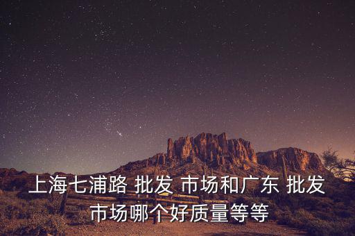 鄭州市運(yùn)動(dòng)裝批發(fā)市場,最大的武漢服裝批發(fā)市場在杭州和福建