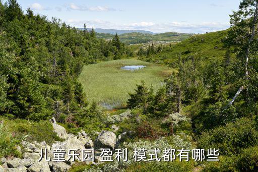 兒童樂(lè)園 盈利 模式都有哪些