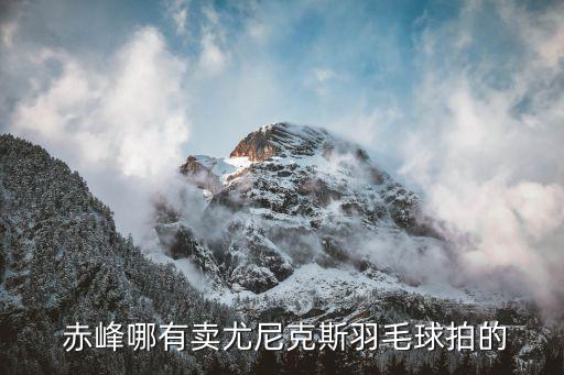  赤峰哪有賣(mài)尤尼克斯羽毛球拍的