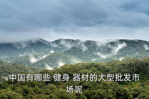 中國有哪些 健身 器材的大型批發(fā)市場呢