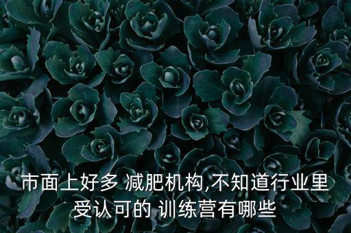 市面上好多 減肥機構,不知道行業(yè)里受認可的 訓練營有哪些