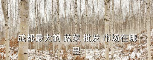成都大型蔬菜批發(fā)市場(chǎng),成都最大蔬菜批發(fā)市場(chǎng)在哪里?
