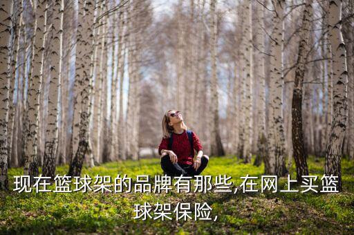 現(xiàn)在籃球架的品牌有那些,在網(wǎng)上買(mǎi)籃球架保險(xiǎn),