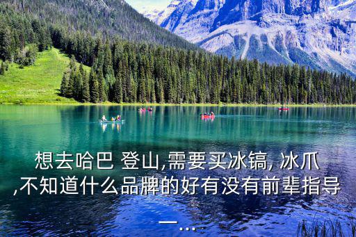 想去哈巴 登山,需要買冰鎬, 冰爪,不知道什么品牌的好有沒有前輩指導一...
