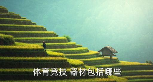  體育競技 器材包括哪些