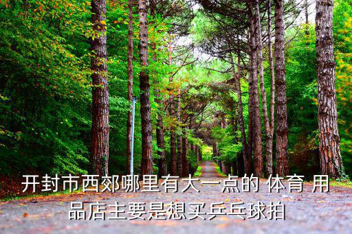 開封市西郊哪里有大一點的 體育 用品店主要是想買乒乓球拍