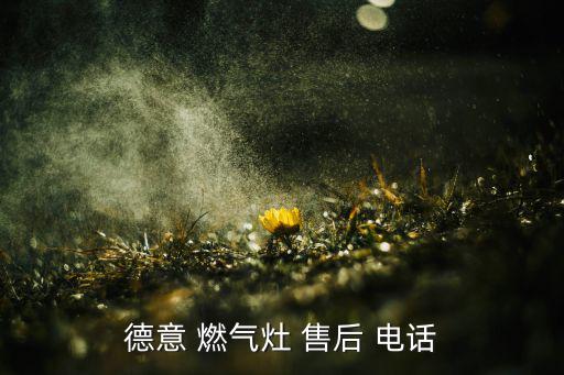 燃?xì)庠羁头酆箅娫?燃?xì)庠罹叱Ｒ姽收?/></a></span><span id=