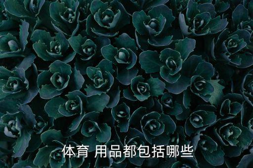 河北眾踏體育用品怎么樣,體育用品包括運動營養(yǎng)品等在內