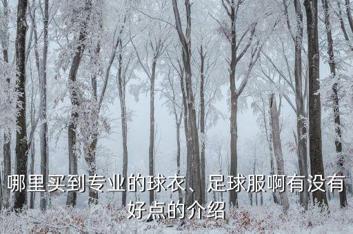 哪里買到專業(yè)的球衣、足球服啊有沒(méi)有好點(diǎn)的介紹