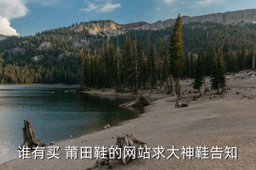 誰有買 莆田鞋的網(wǎng)站求大神鞋告知
