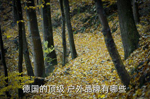 戶外裝備品牌大全圖片,歐洲戶外運動品牌salewa誕生了