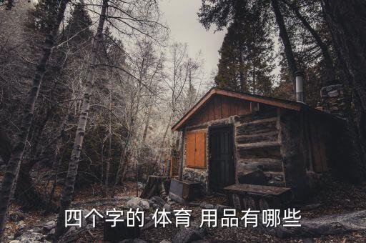 劍俠體育用品有哪些東西,潮流用品分三類(lèi)為體育用品