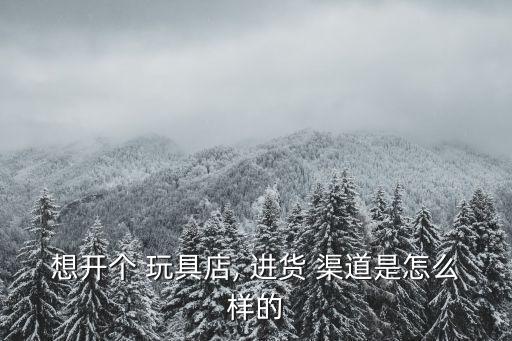 想開(kāi)個(gè) 玩具店, 進(jìn)貨 渠道是怎么樣的