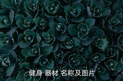  健身 器材 名稱及圖片