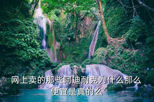  網(wǎng)上賣(mài)的那些阿迪耐克為什么那么 便宜是真的么