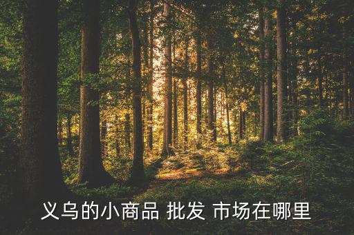 附近的小百貨批發(fā)市場,關(guān)于義烏的小商品在哪里批發(fā)市場?