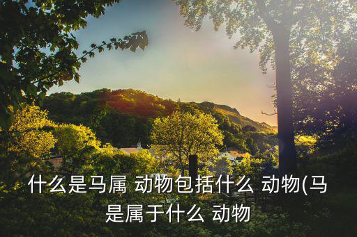 什么是馬屬 動(dòng)物包括什么 動(dòng)物(馬是屬于什么 動(dòng)物