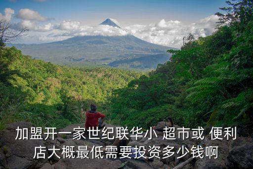 加盟開(kāi)一家世紀(jì)聯(lián)華小 超市或 便利店大概最低需要投資多少錢(qián)啊