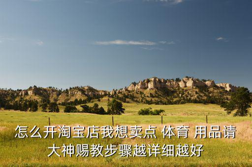 怎么開淘寶店我想賣點(diǎn) 體育 用品請大神賜教步驟越詳細(xì)越好
