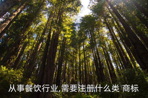 注冊(cè)商標(biāo)16類,餐飲公司需要刷菜單或者宣傳冊(cè)推廣自己公司