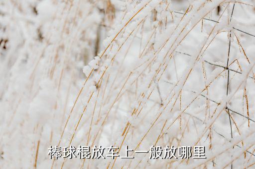 棒球棍放車上一般放哪里