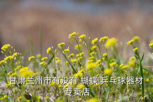 蝴蝶牌乒乓球拍專賣店價(jià)格,乒乓球拍攝攻略（十））