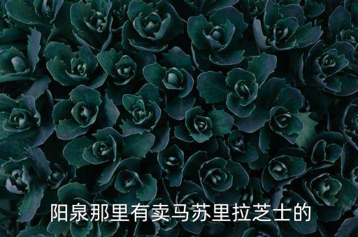  陽泉那里有賣馬蘇里拉芝士的