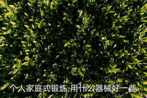 個人家庭式鍛煉,用什么器械好一些
