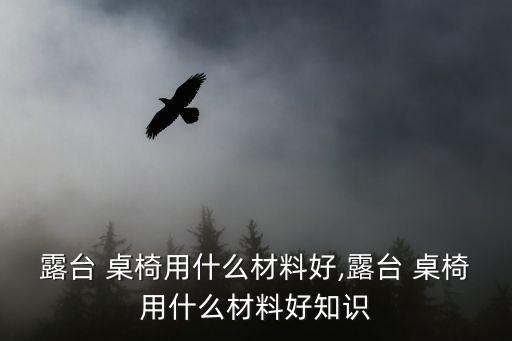 鐵藝桌椅,歐式風(fēng)情鐵藝別墅陽臺搭配藤條或塑料遮陽傘更顯浪漫