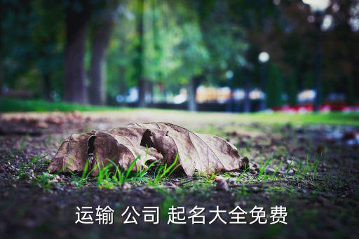 貨物運輸公司起名大全,公司起名一鍵自動生成方便公眾記憶