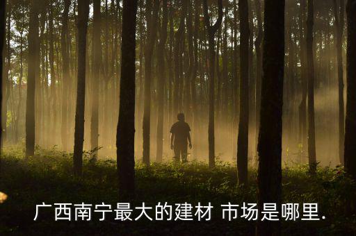 廣西南寧最大的建材 市場是哪里.