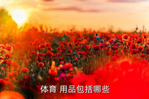 學(xué)校體育用品清單及價格明細(xì),新加坡大學(xué)生如何準(zhǔn)備開學(xué)回家?