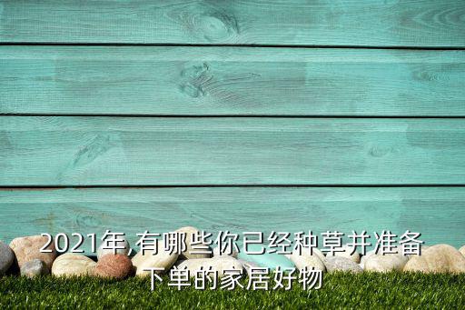 2021年,有哪些你已經(jīng)種草并準(zhǔn)備下單的家居好物