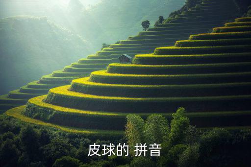 體育用品的拼音怎么寫拼音,乒乓球球衣是否是塑料制成?