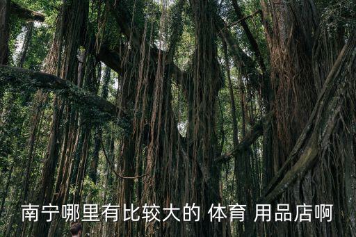 梁溪區(qū)名優(yōu)體育用品哪里買,南寧體育商場有哪些商場?