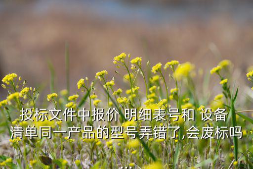 投標文件中報價 明細表號和 設(shè)備 清單同一產(chǎn)品的型號弄錯了,會廢標嗎...