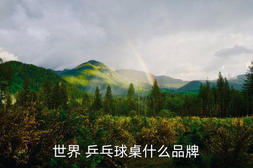 乒乓球桌品牌,凱捷乒乓球表設(shè)計細(xì)致尺寸精準(zhǔn)值得推薦
