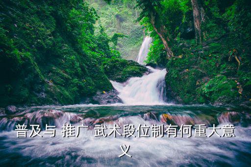 普及與 推廣 武術段位制有何重大意義