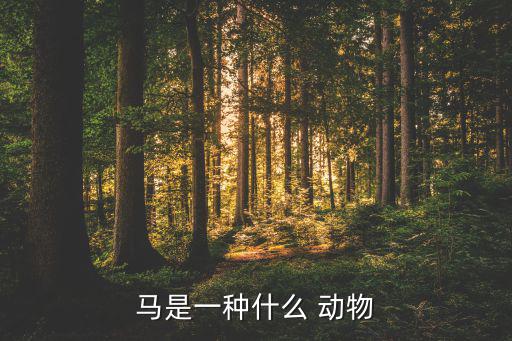 馬是一種什么 動(dòng)物