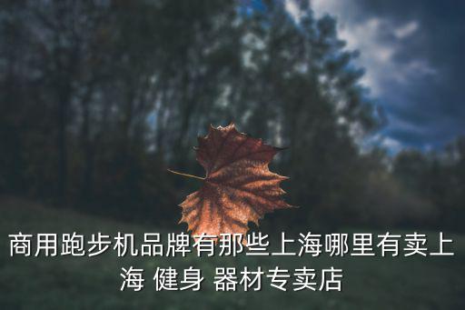 健身器材連鎖店,健身器材選擇網(wǎng)購(gòu)或電子產(chǎn)品較好