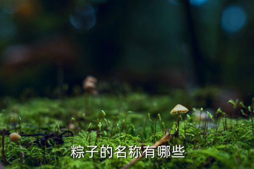  粽子的名稱有哪些