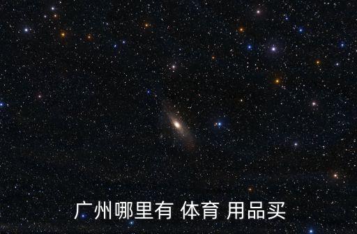 廣州體育用品哪個(gè)好銷售,體育用品網(wǎng)上買更方便價(jià)格更便宜