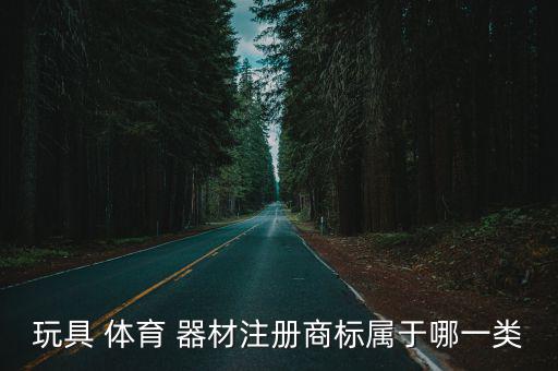 玩具 體育 器材注冊商標屬于哪一類
